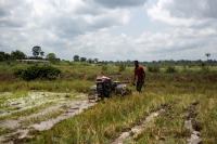 République démocratique du Congo : la Banque africaine de développement accorde un prêt de 117 millions de dollars pour appuyer la transformation agricole